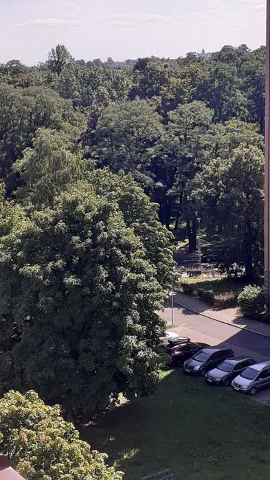 Sprzedam mieszkanie 30m2 w Głogowie.
