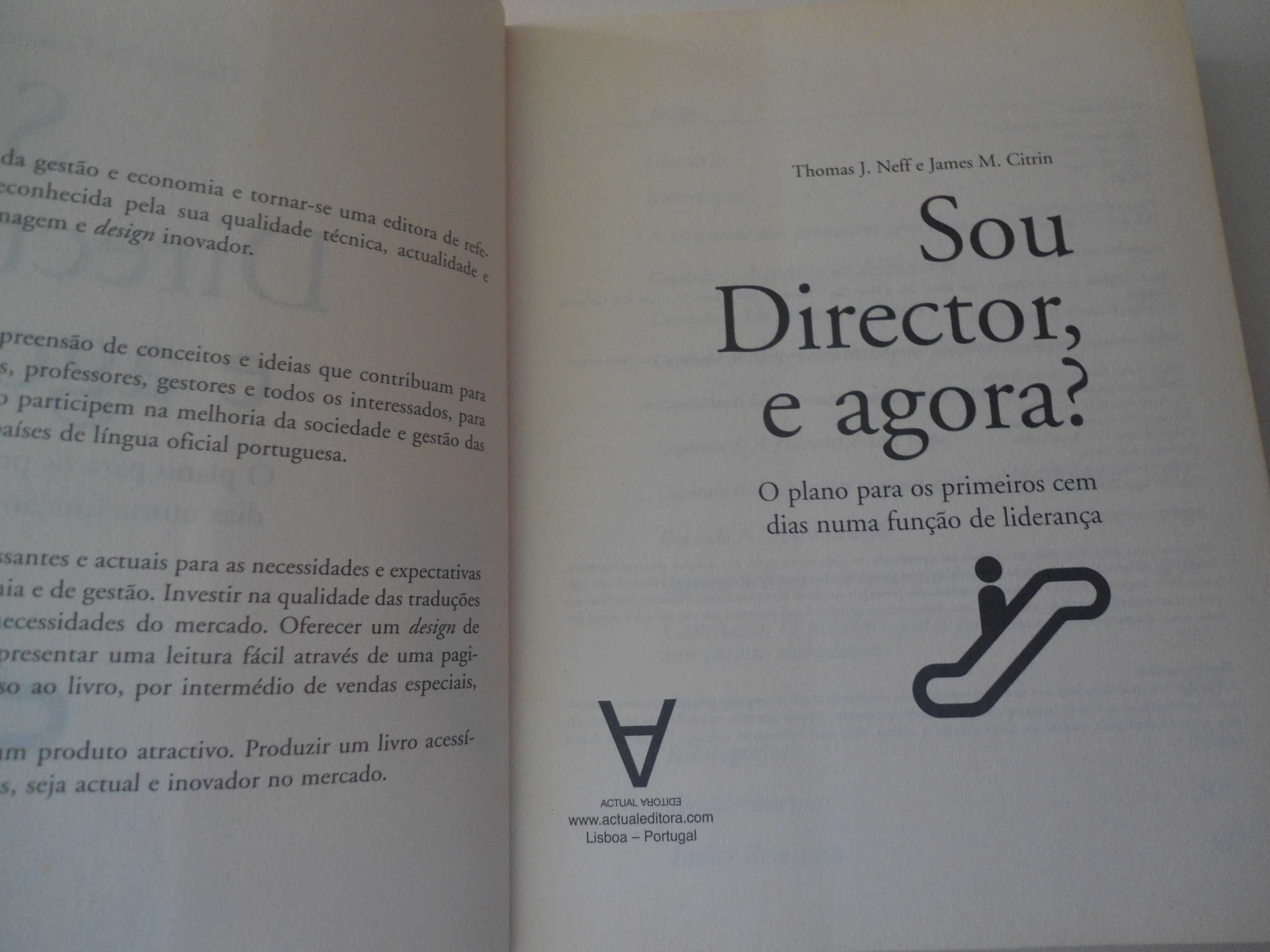 Sou Diretor, e agora? por Thomas J. Neff e James M. Citrin