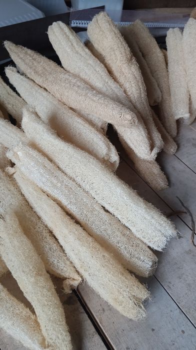 Люфа еко-мочалка, насіння