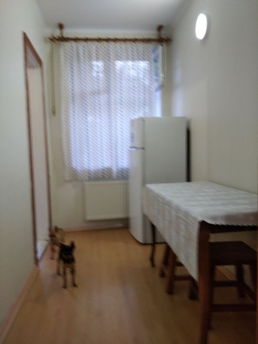 Сдам 1 комн квартиру 7фонтана АТБ