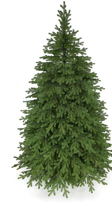 Choinka Świerk premium PE