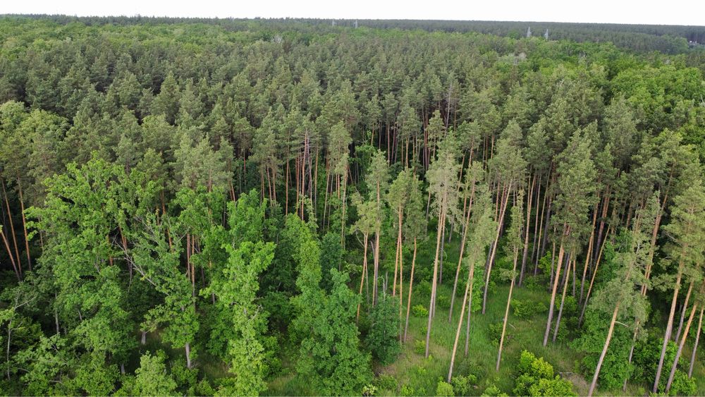 Продам Ділянку 24сотки Навпроти Заповідного Лісу в Ексклюзивному Місці