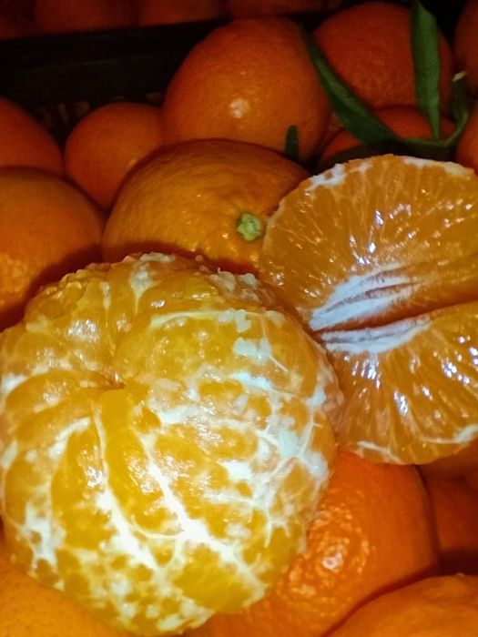 Mandarynki, pomarańcze, cytryny prosto z Włoch