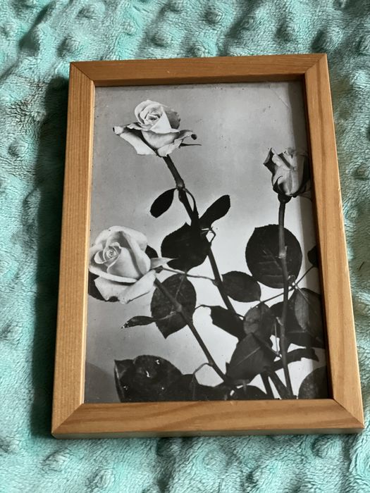 Róże  w drewnie i szkle