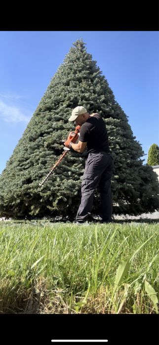 Топиарная стрижка растений!стрижка рослин!