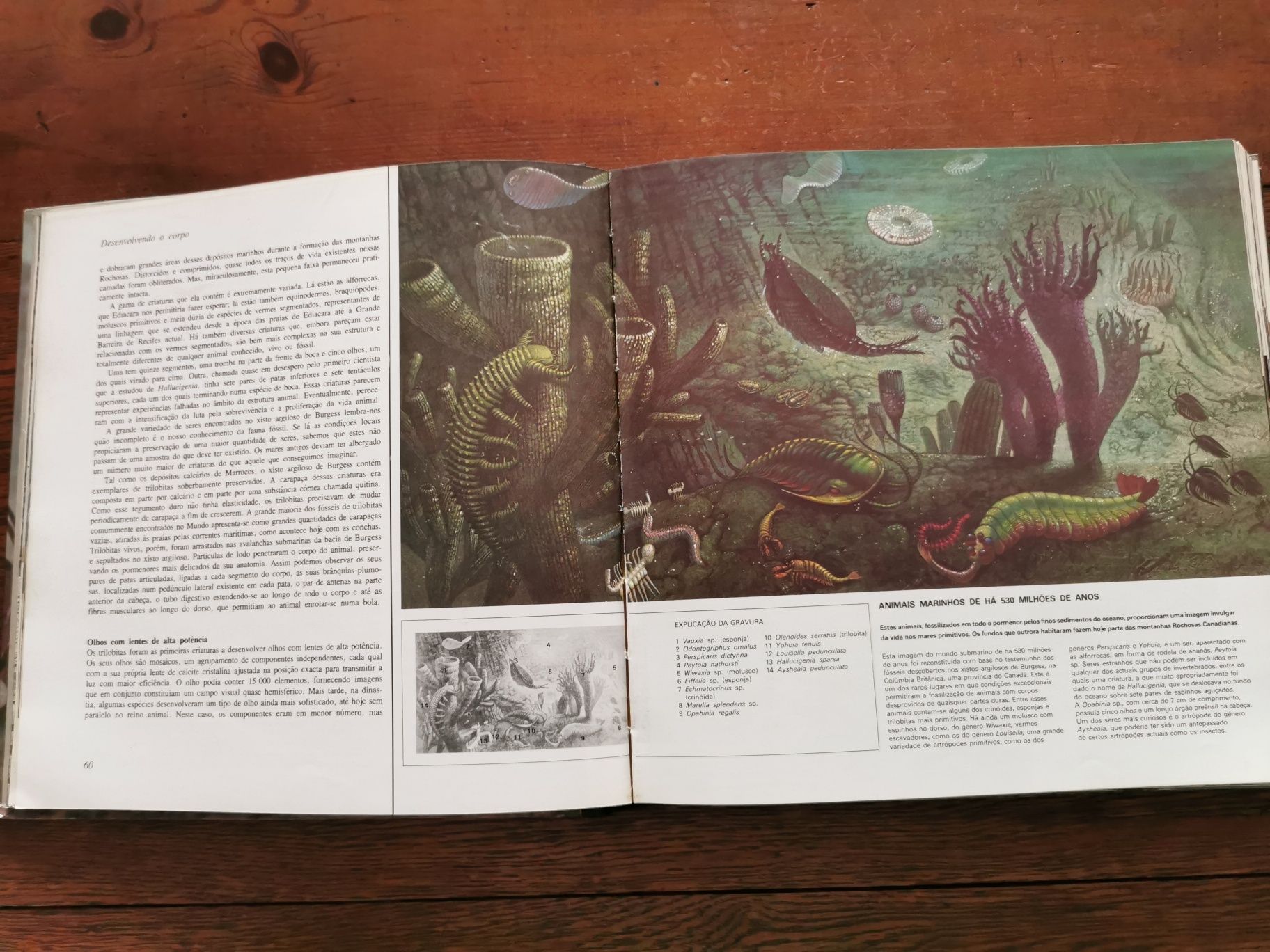 A Vida na Terra - David Attenborough (Selecções do Readers Digest)