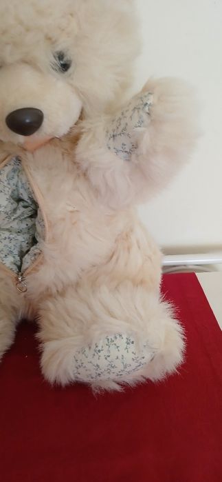 Peluche/urso guarda -pijama