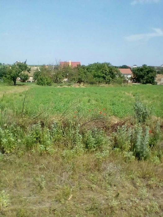 Цена за 8 соток. Продам участок с. Санжейка