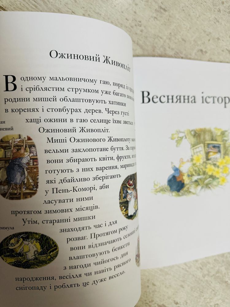 Книжка «Рік в Ожиновому Живоплоті»