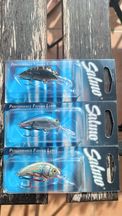 Salmo Hornet 4S BT, SWS, RTS - Zestaw
