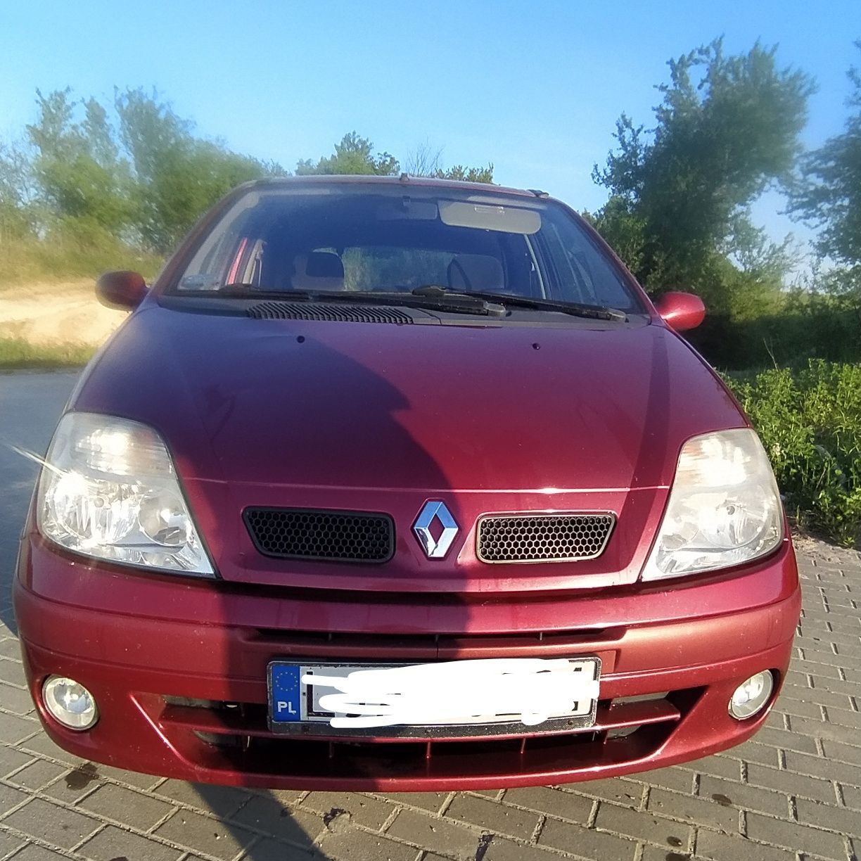 Renault Scenic z gazem