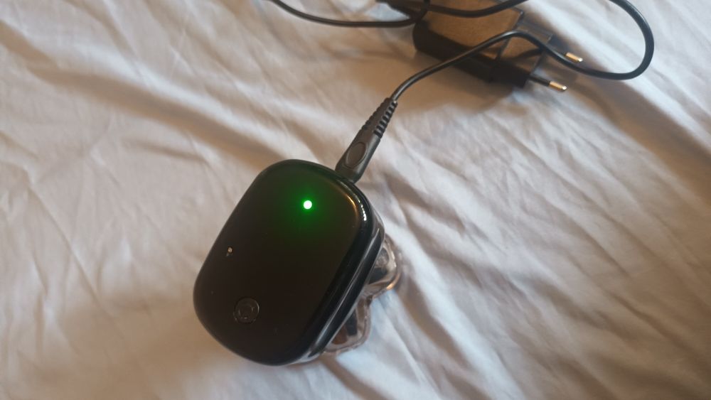 Maszynka, trymer pitbull