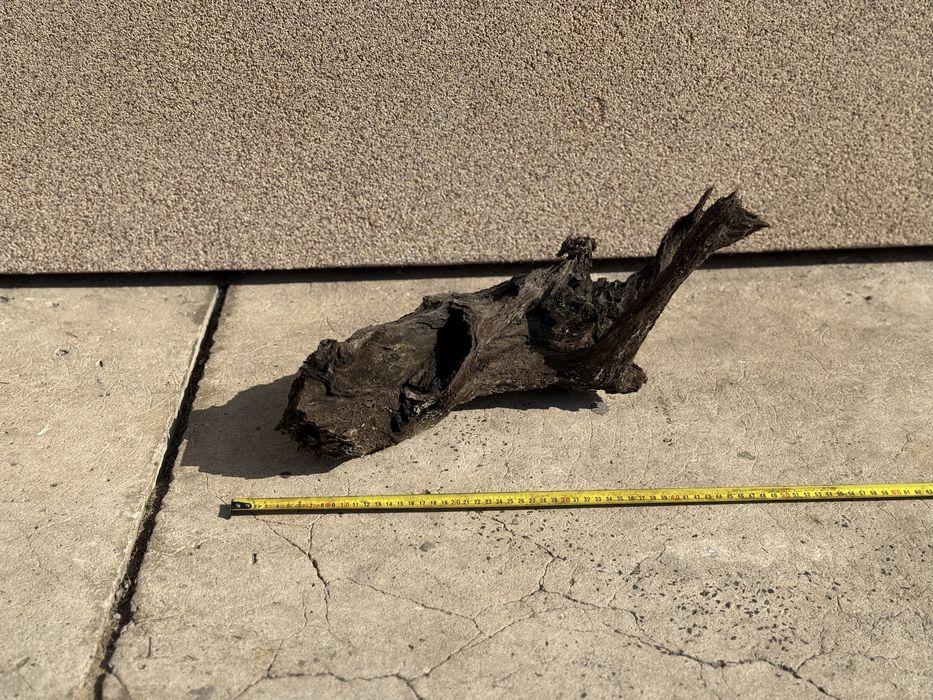 Korzeń do akwarium 50 cm