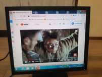 Monitor Acer 19'' na podstawie zwykłej