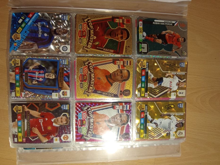 Karty piłkarskie panini