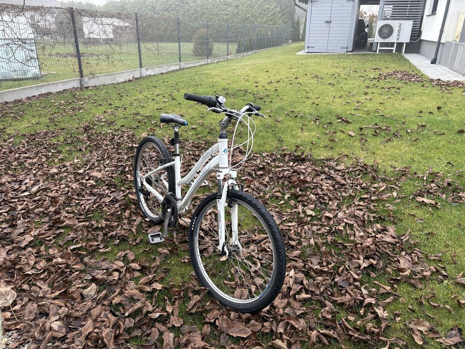 Rower Kross Modo 1.0 26 cali