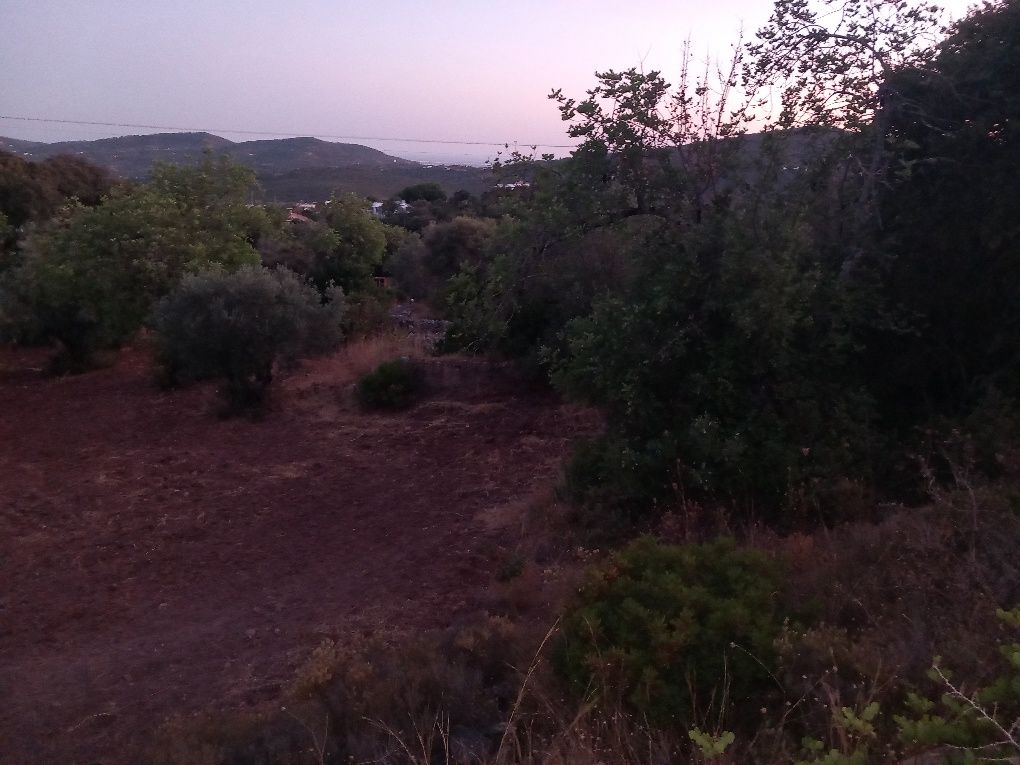 Terreno Urbano com Vista Mar.