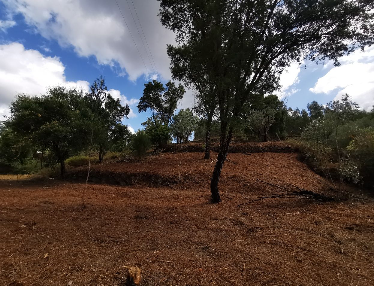 Limpezas de terrenos lavagem de muros e telhados