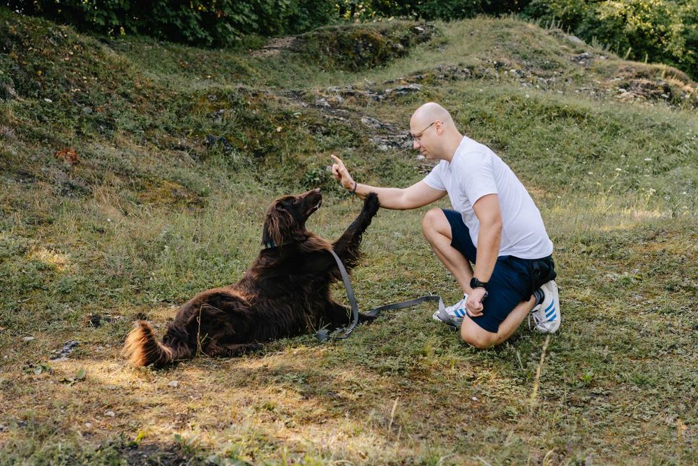 Trening psów. Szkolenie psów. Psie Przedszkole, trener Kraków