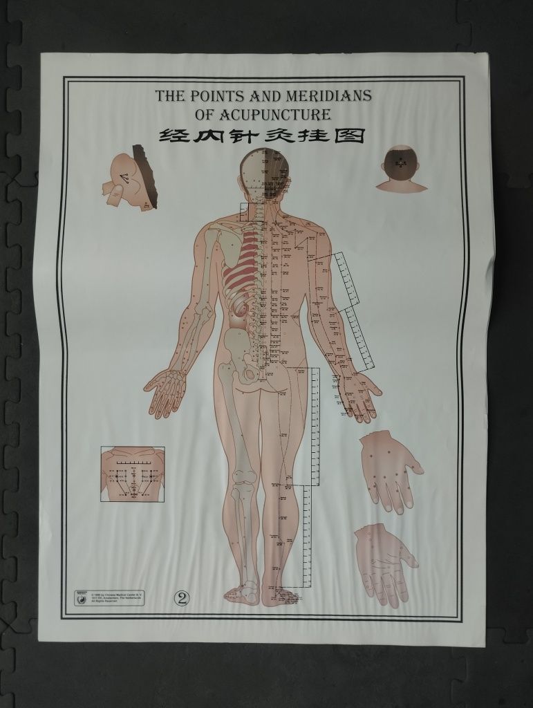 Posters meridianos medicina chinesa