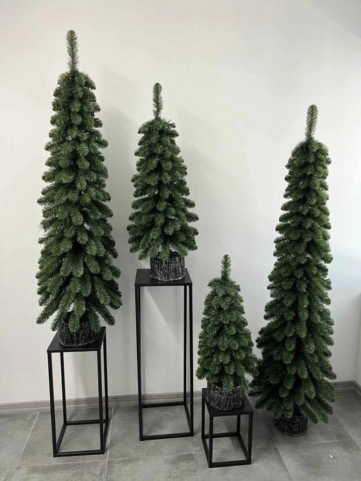 Choinki slim i na pniu