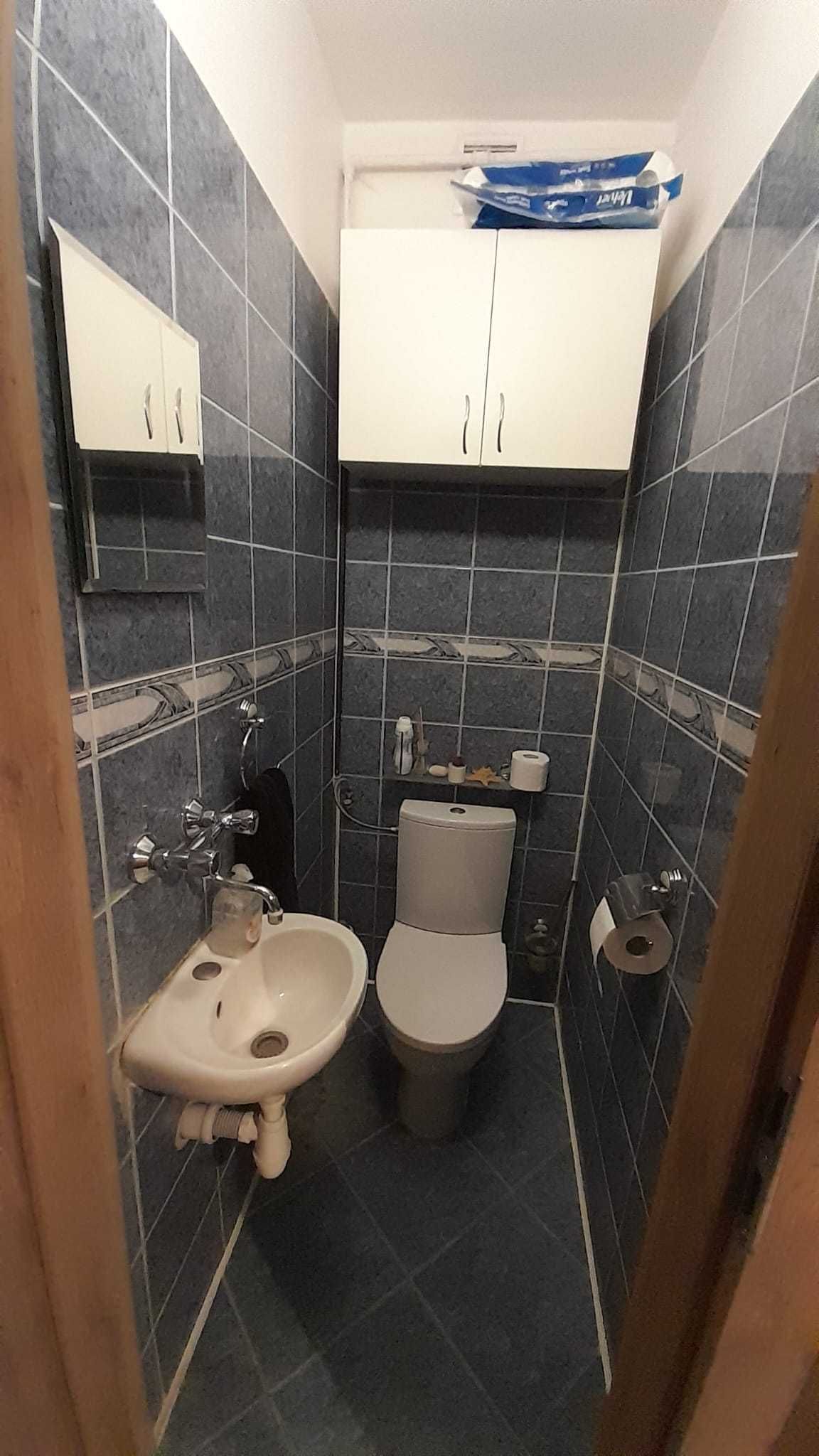 Toaleta wolnostojąca/ kibel wolnostojący/ WC (to naprawdę spoko kibel)