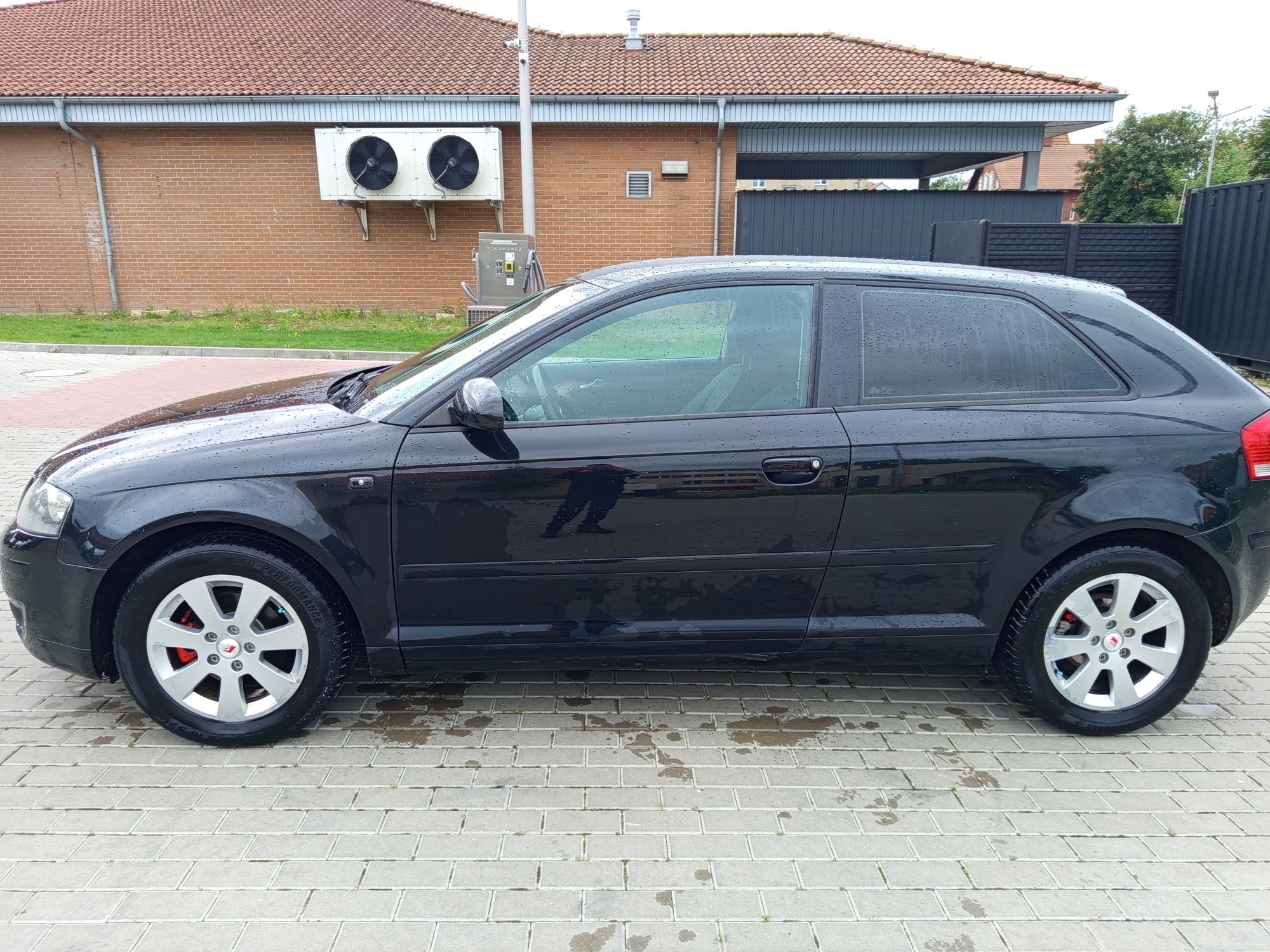 Audi A3 8p 1.9 TDI