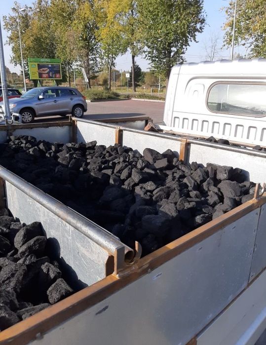 Węgiel orzech Polski