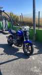 Honda Hornet 2001