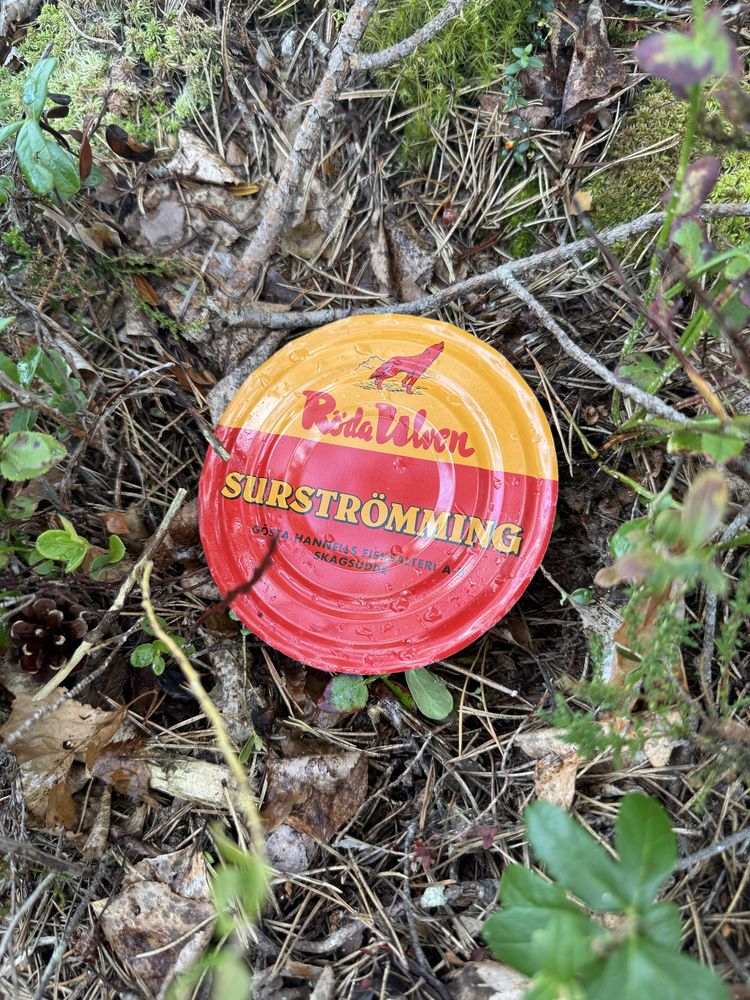 surströmming, сюрстрёмминг, сюрстрьомінг