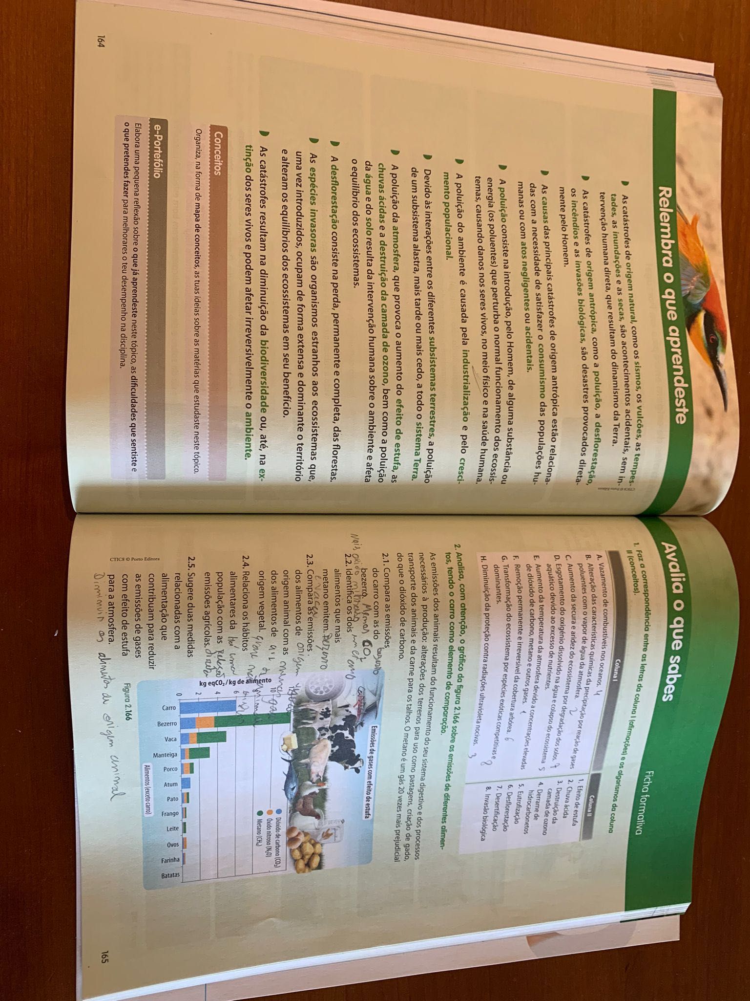 CienTIC 8 (manual + caderno do aluno)