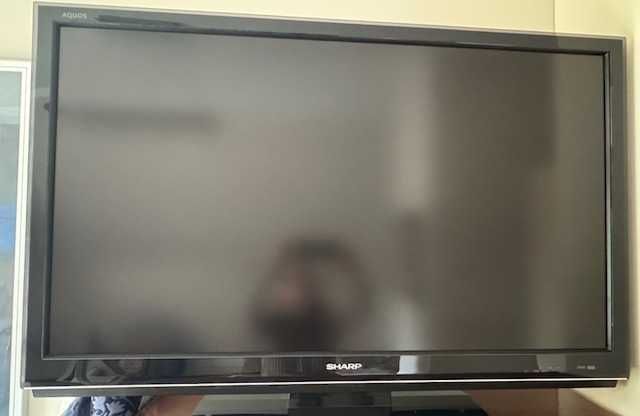 telewizor z systemem telewizji domowej