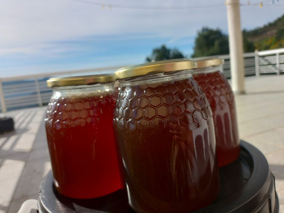 Frascos de Mel multifloral