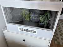 Terrarium z płyty