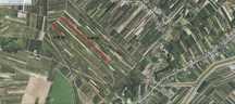 Samborzec - nieruchomość 2,46 ha