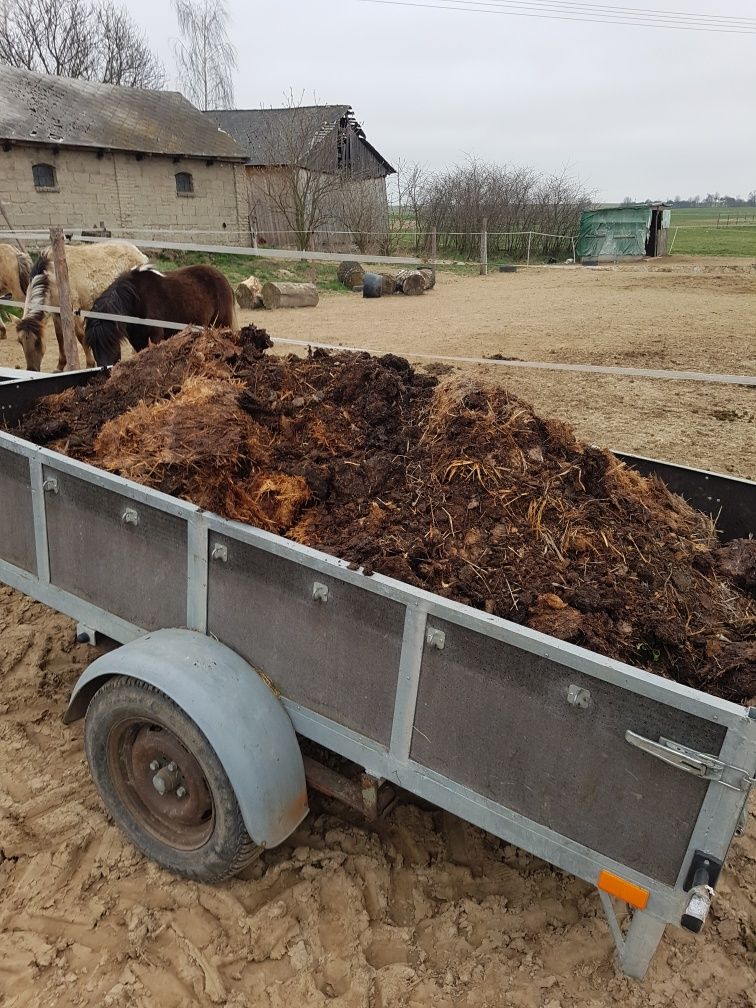 Obornik koński,znakomity naturalny nawóz