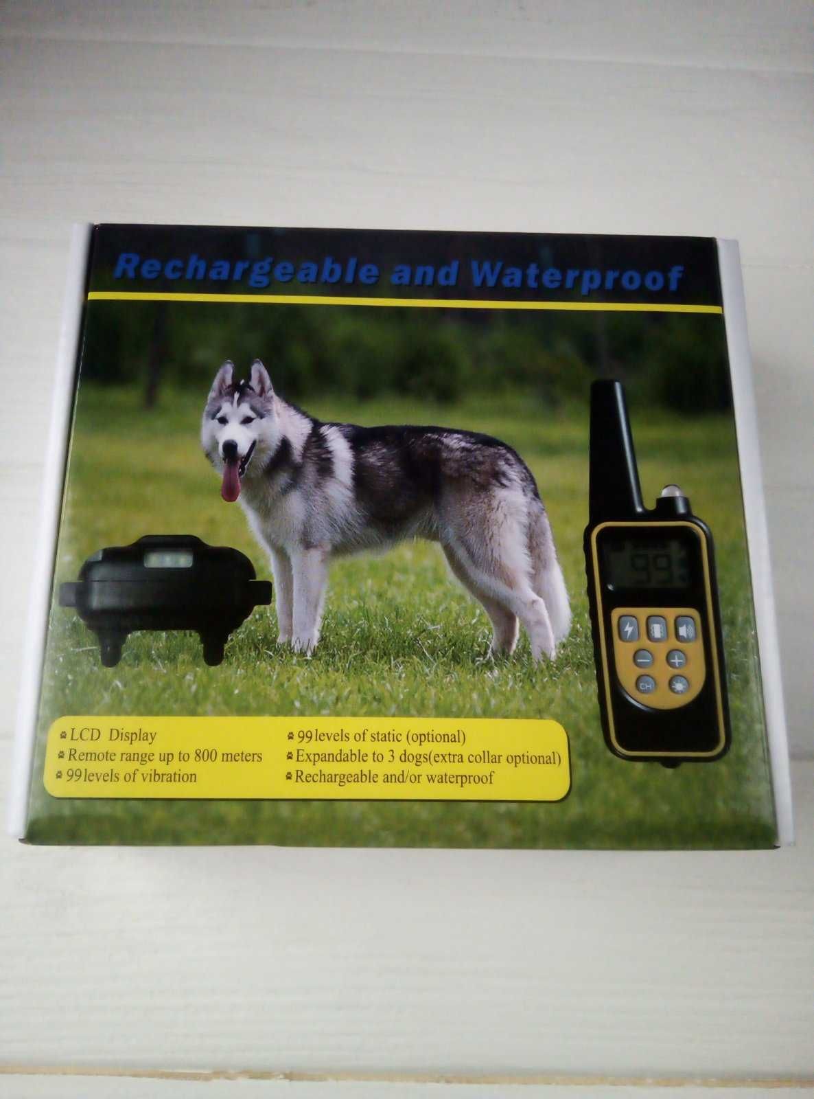 Електронний нашийник для дресирування собак