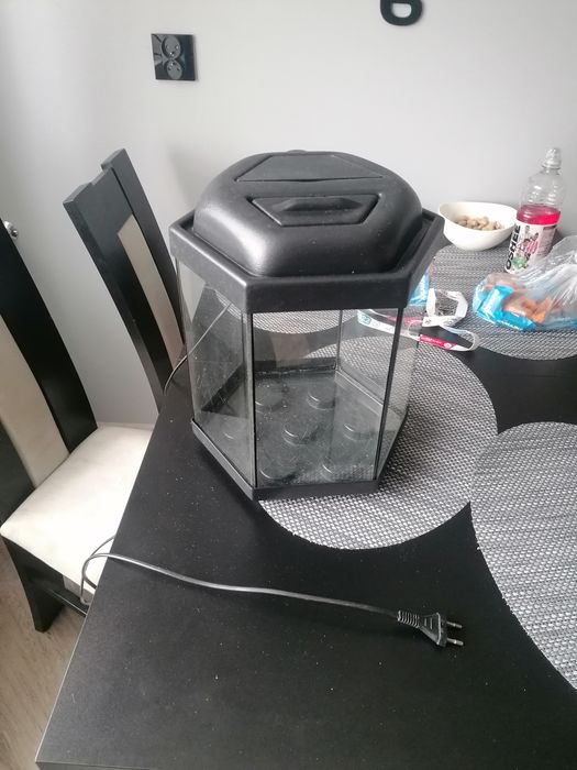 Akwarium sześciokątne