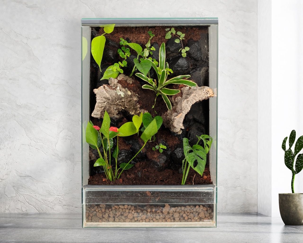 Terrarium gekon paludarium