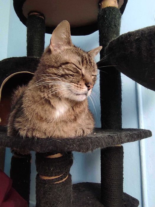 Bruno, słodki chłopak z charakterem