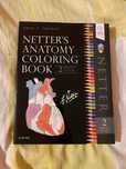 Anatomia Nettera do kolorowania