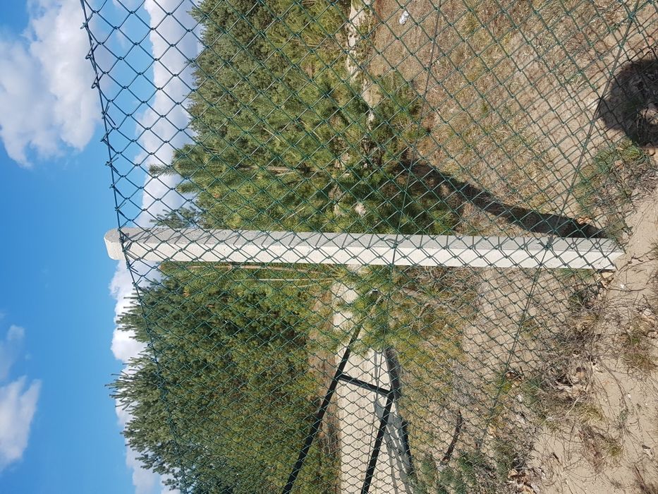 Słupki słupek betonowy do siatki, sadownicze, leśnej