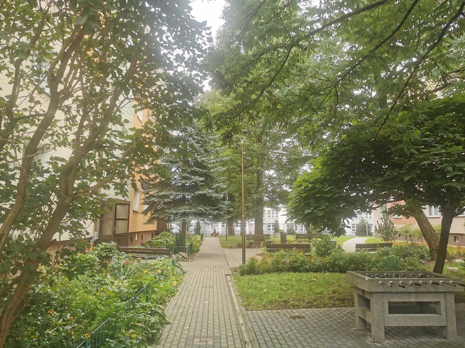 Bez prowizji po remoncie 43 mkw parter k. WSIZ i Parku Sybirakow