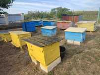 Продам вулики 20-25 рамочні, лежаки