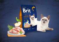 Brit Premium Cat Indoor Chicken корм для котов живущих в помещении 8кг