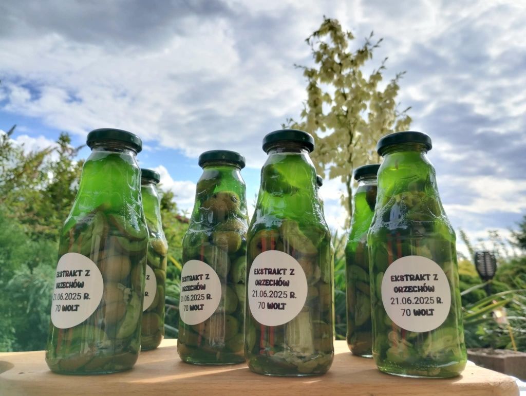 Ekstrakt z młodych orzechów włoskich 330ml