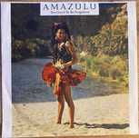 Amazulu - płyta winylowa 7" - 1986
