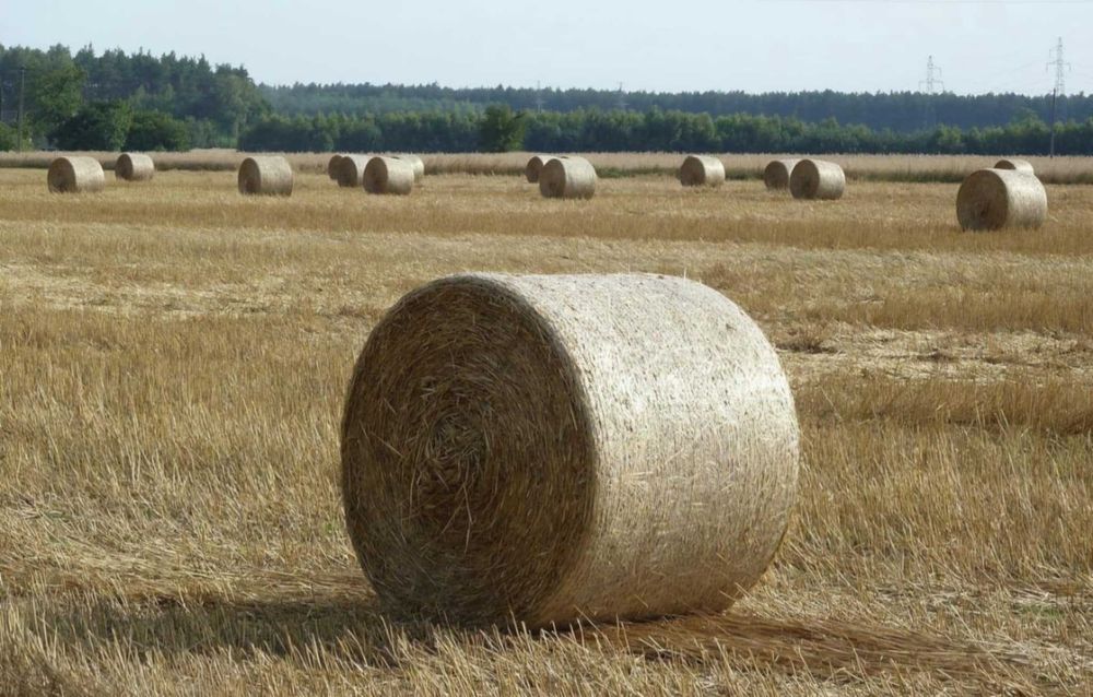 Słoma baloty żytnia pszenna 120cm