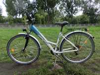 Rower damka 28 cali