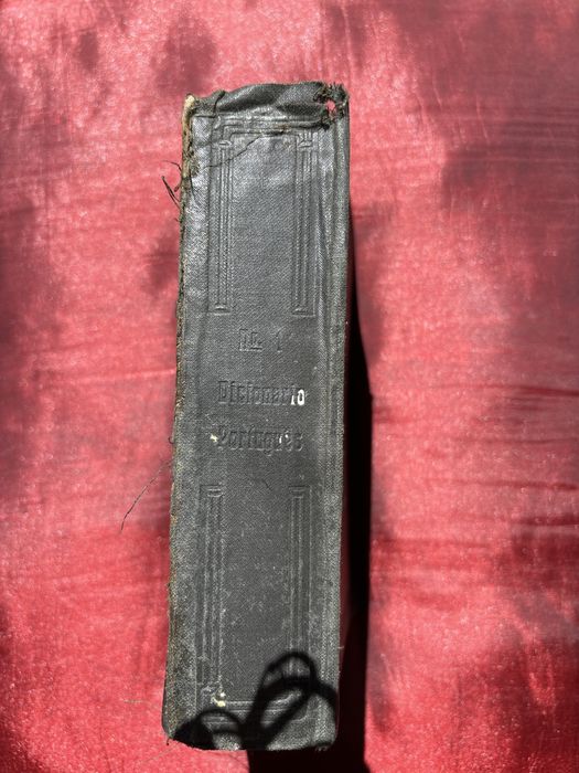 Dicinario da lingua portuguesa 1919